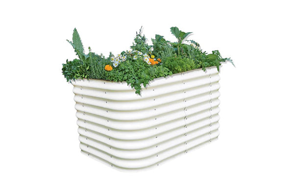 Comparing Birdies Garden Products to Vegepod: Which Garden Solution is Right for You?