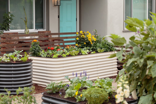 5 Native NZ Plants That Look Great in Corten Steel-Style Planters (Plus Tips for a Cohesive Garden Design)