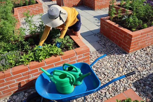 How Tall Should A Raised Garden Planter Be?