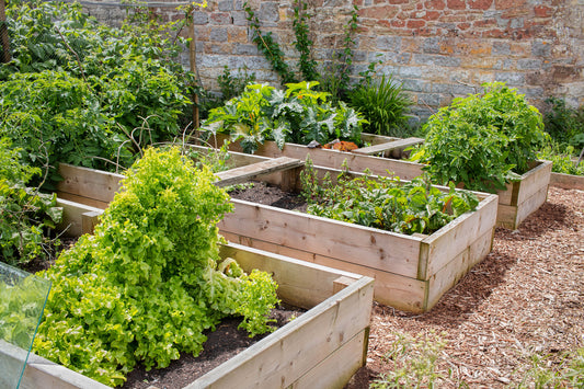 3 Ways to Protect Your Garden Beds From Pests