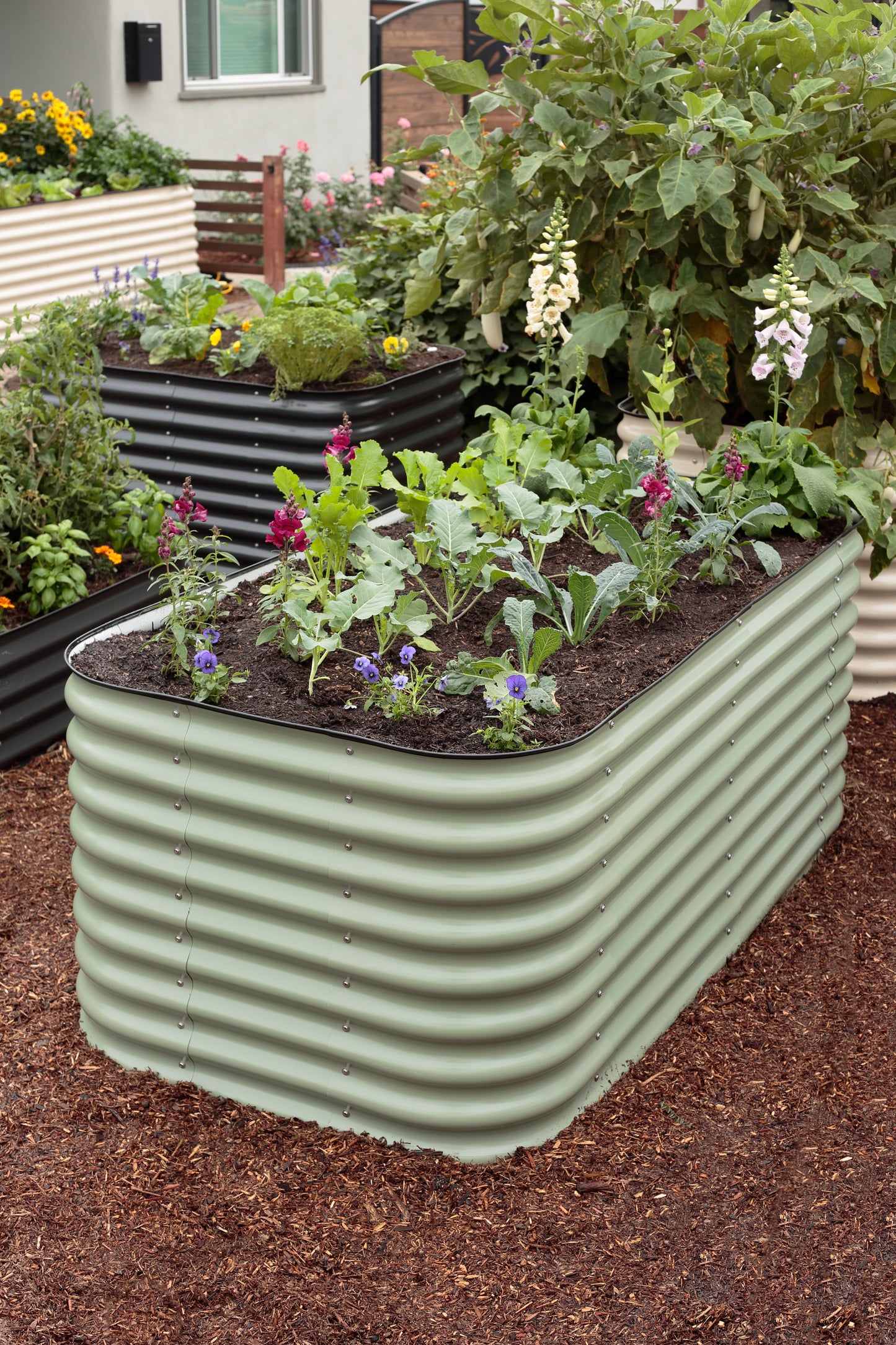 raised garden beds with plants