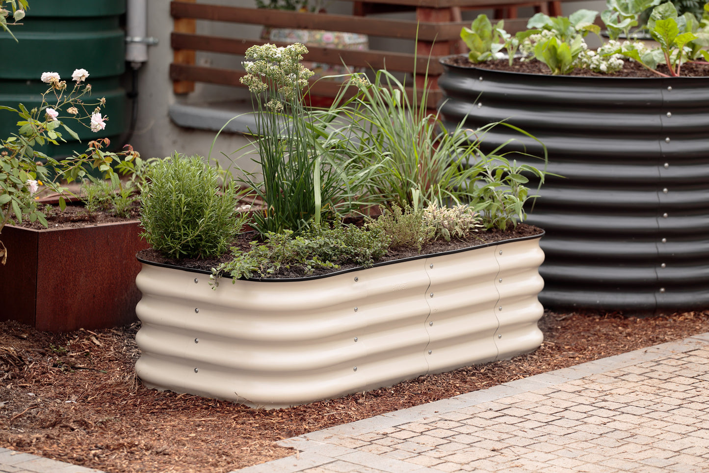 white medium raised garden beds with plants