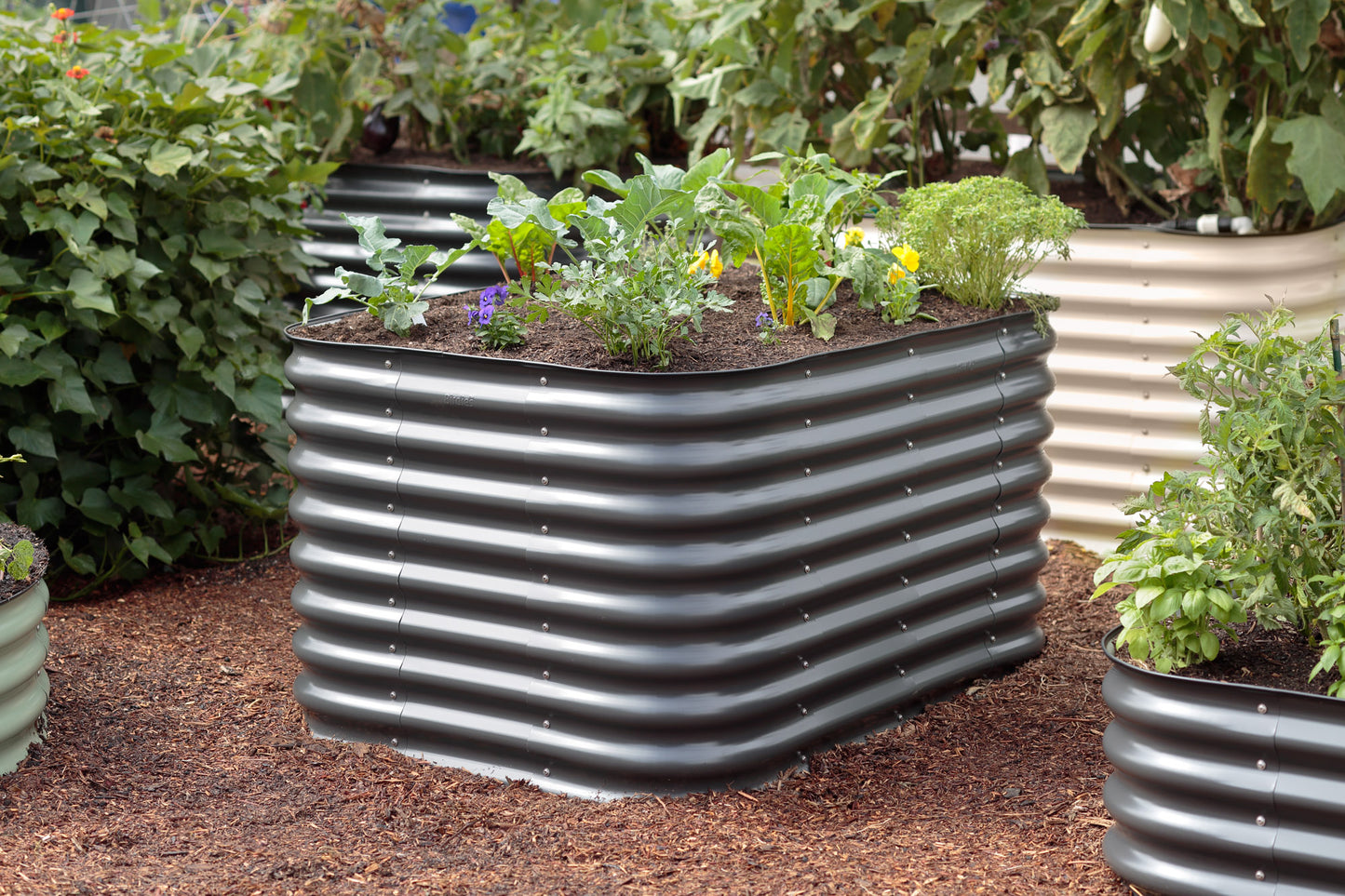 medium raised garden beds with plants