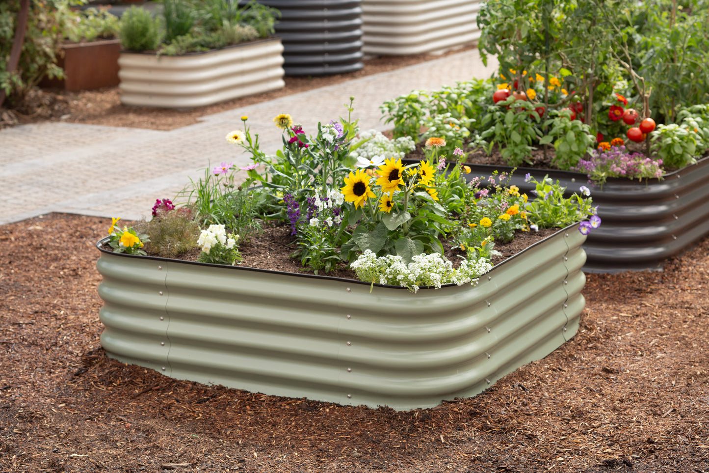 raised garden beds with plants