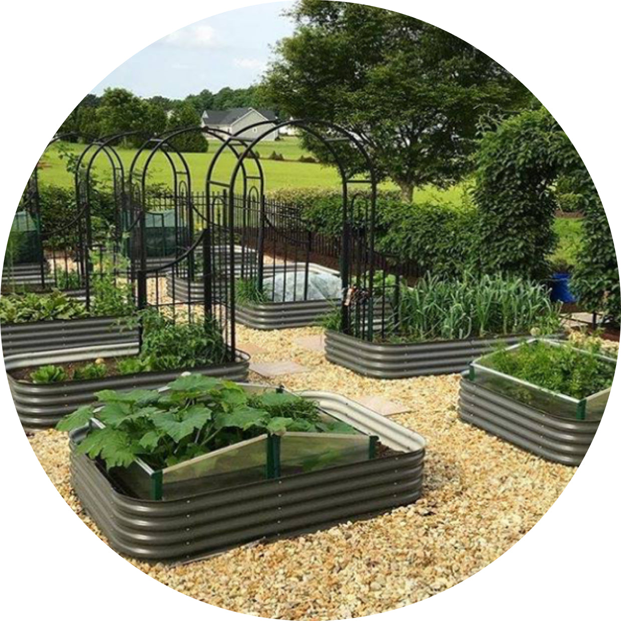 raised beds in a garden