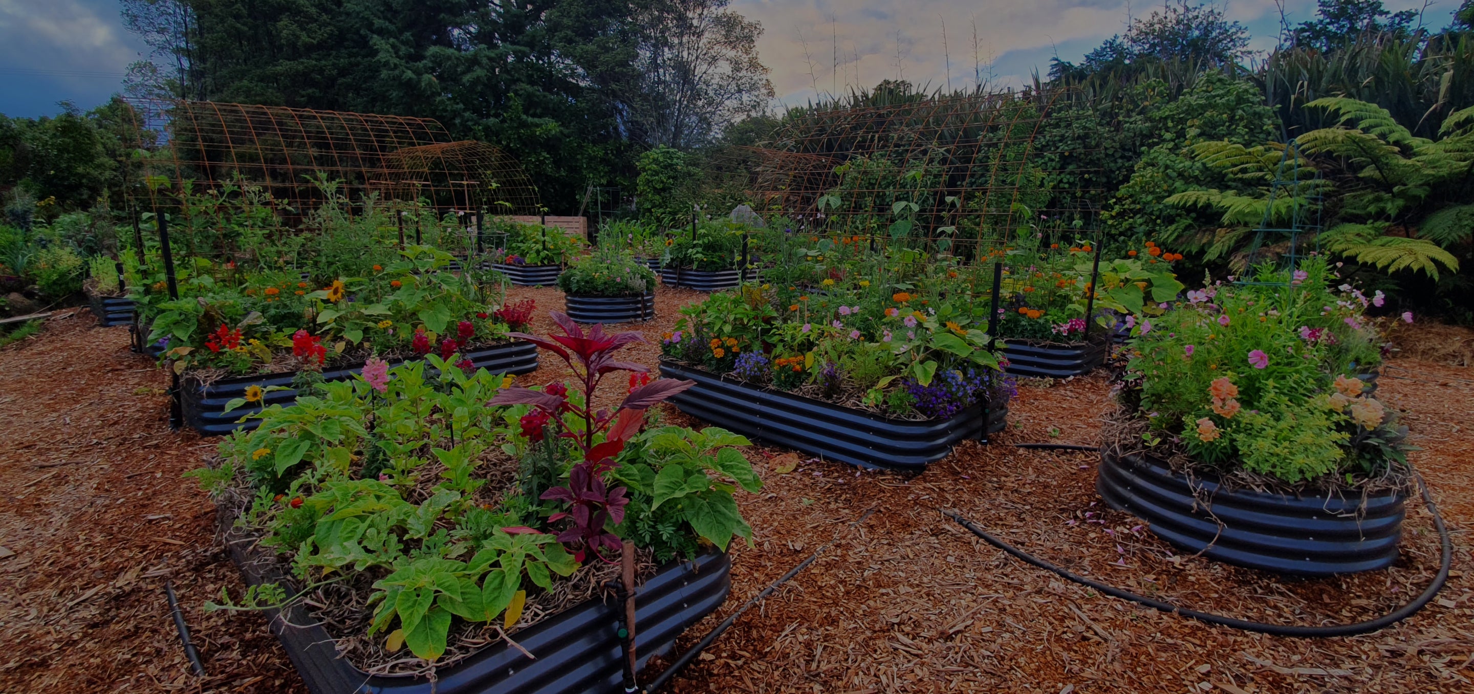 raised garden beds