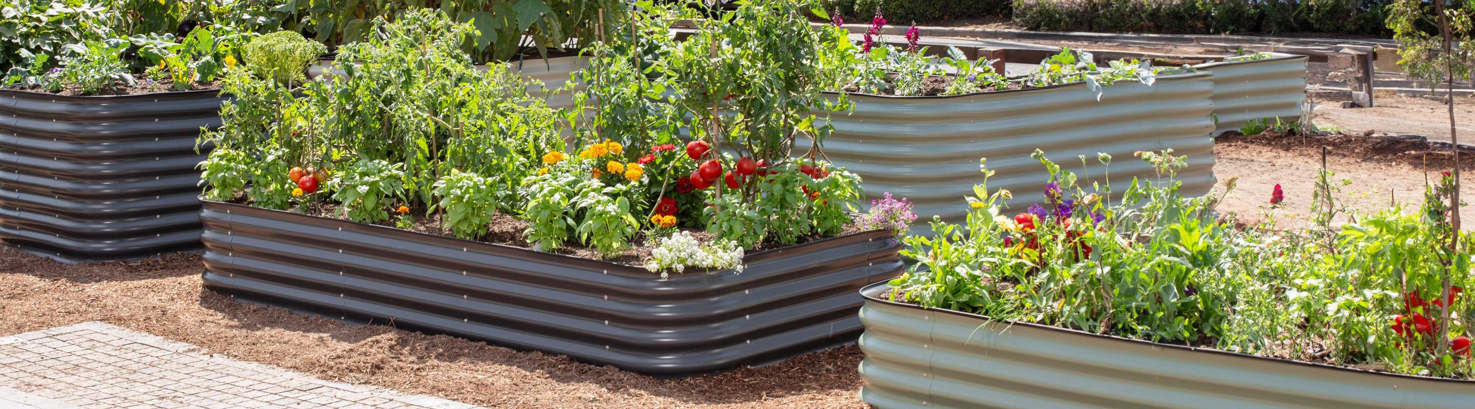 raised planter beds with plants