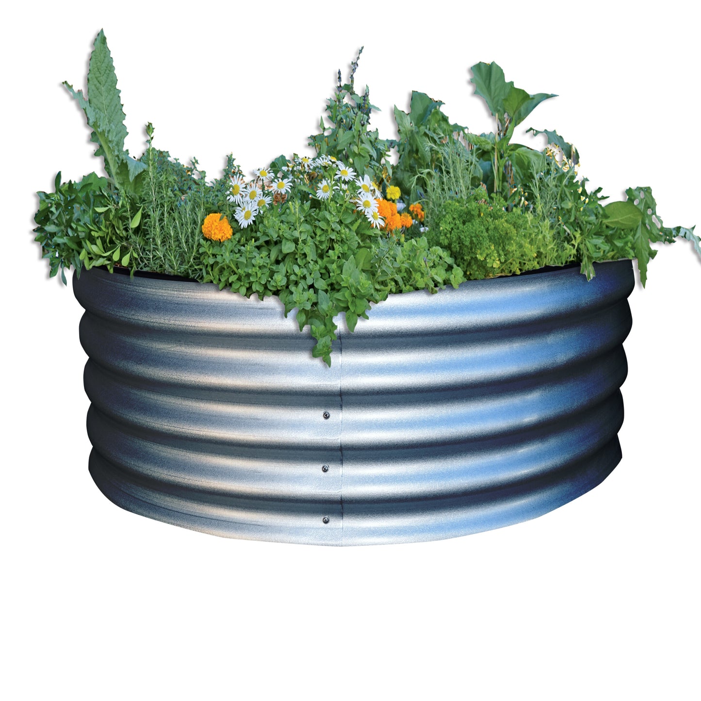 Original Round Metal Raised Garden Bed