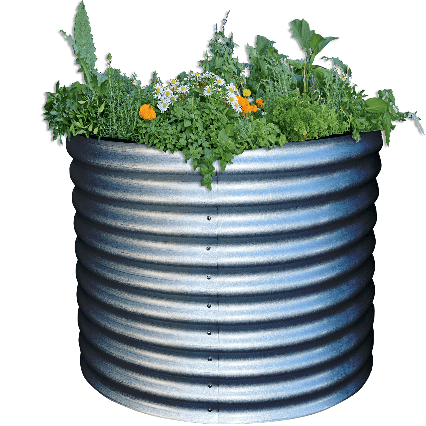 Tall Round Metal Raised Garden Bed