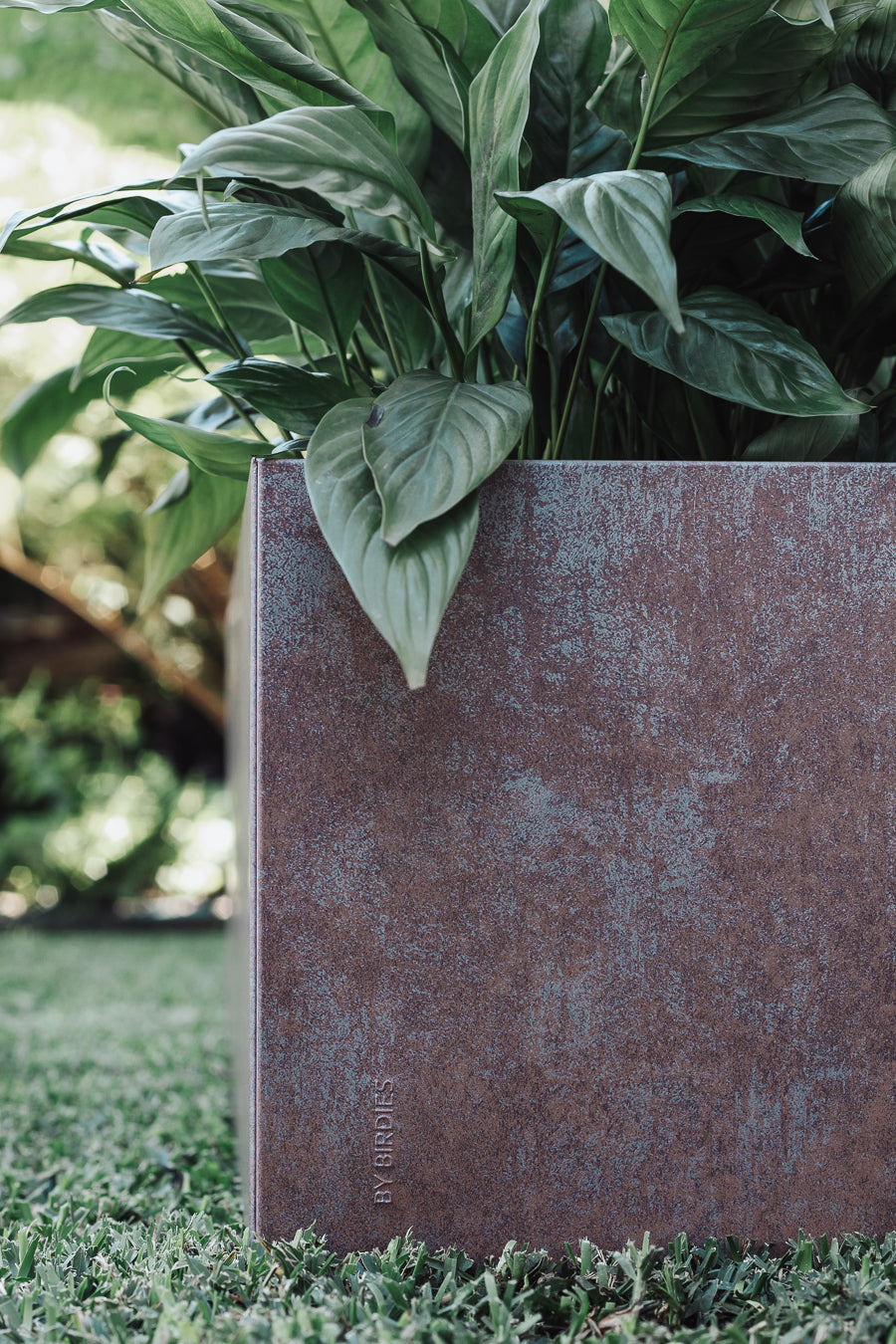 Planter Box
