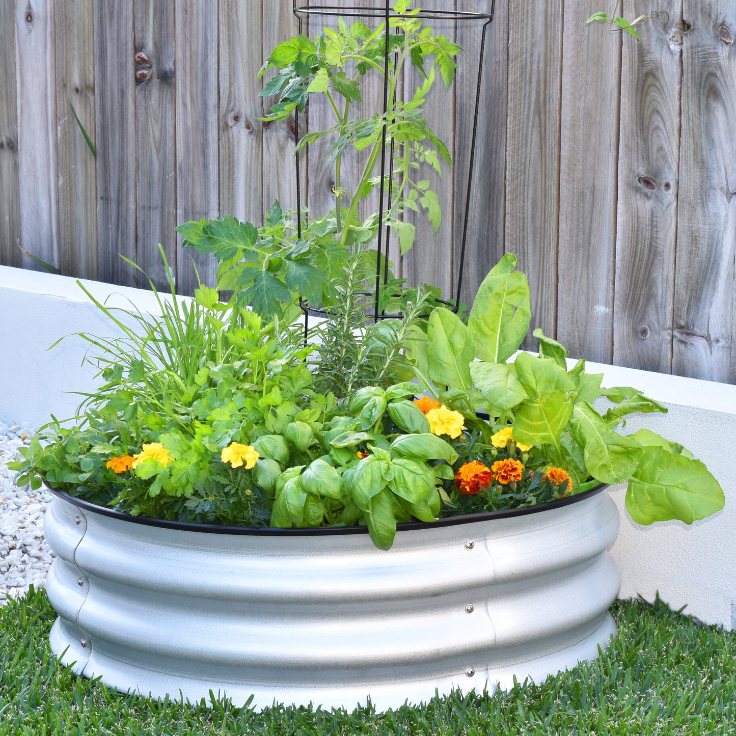 TREE SURROUND GARDEN BED