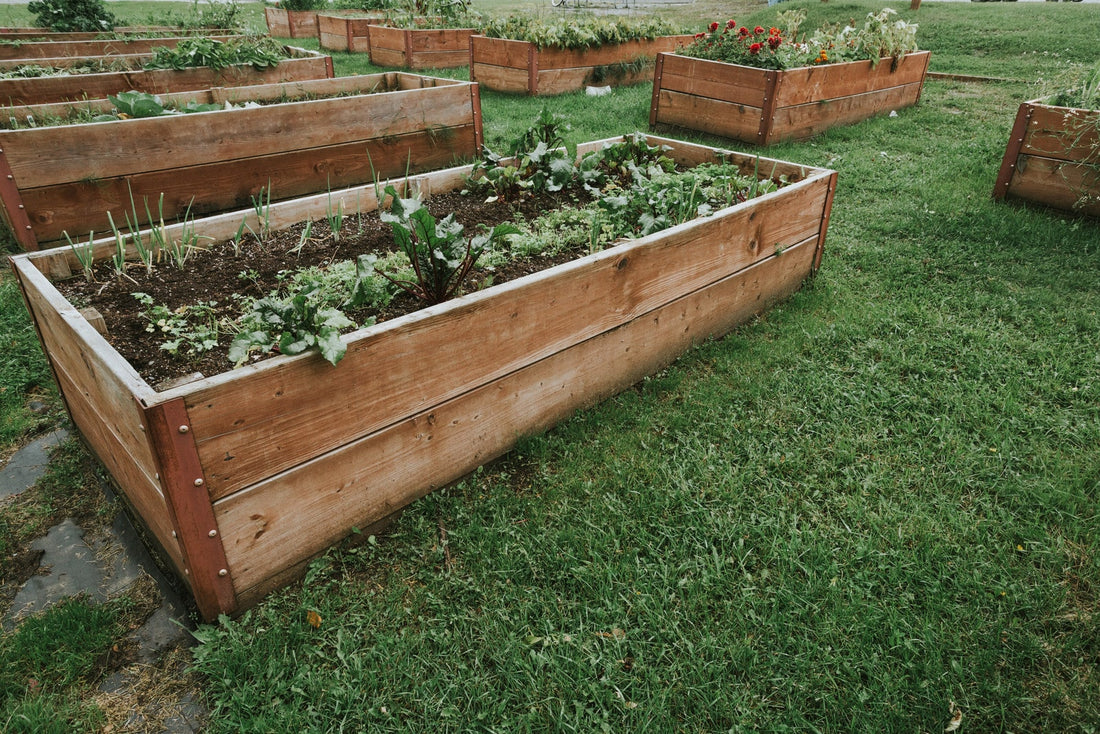 Finding the Perfect Spot: Best Locations for Your Raised Garden Box