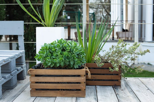 Rectangular vs Square Planter Boxes: Which is Right for Your Garden?