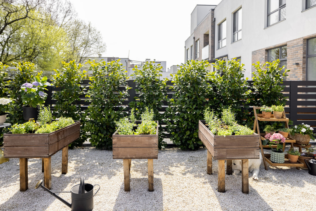 Use Outdoor Planter Boxes To Make The Best Vege Garden Ever