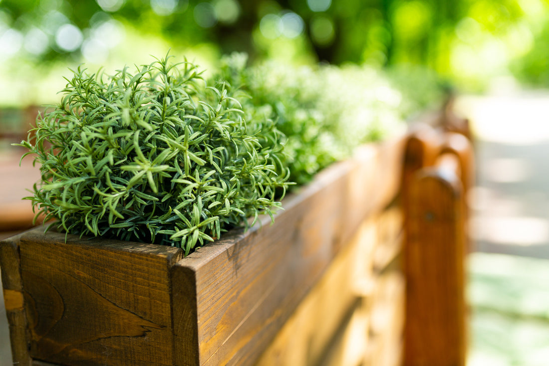 A Beginner's Guide To Plant Box Gardening In NZ