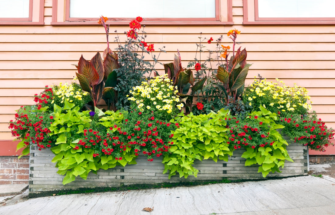 4 Ideas For Filling Your Large Garden Planters