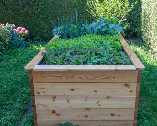 Choosing the Best Material for Your Raised Garden Box