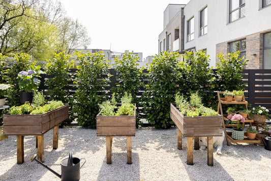 Use Outdoor Planter Boxes To Make The Best Vege Garden Ever