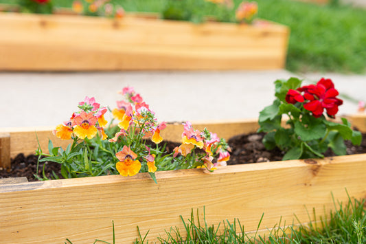 STEP-BY-STEP GUIDE ON HOW TO GARDEN IN PLANTER BOXES