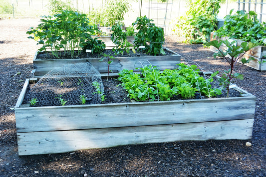 How to Build a Raised Garden Bed