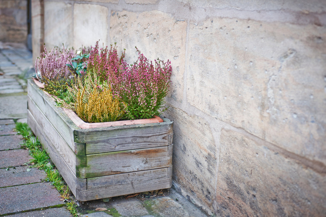 6 Ways to Enhance Your Outdoor Spaces with Planter Boxes