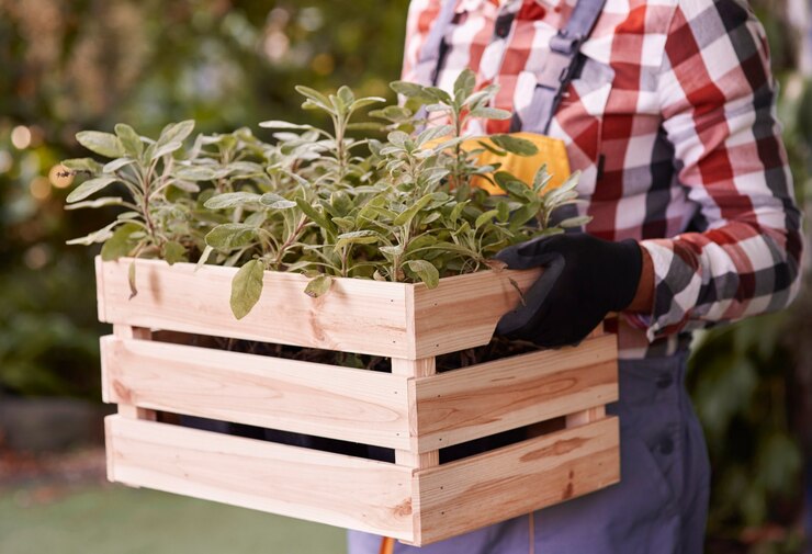 How to Start a Herb Garden with Planter Boxes