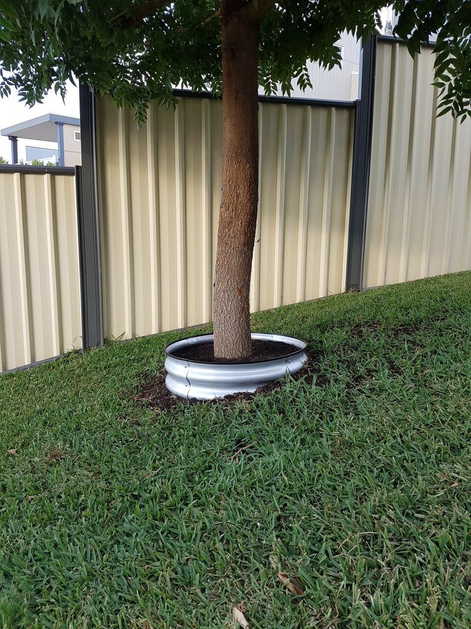 Metal Tree Surrounds