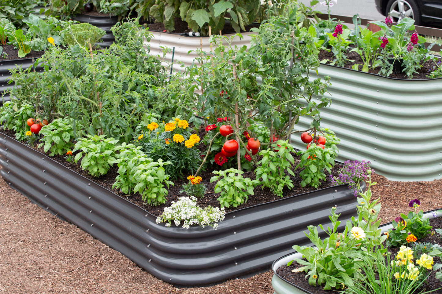 Large Short Metal Raised Garden Bed