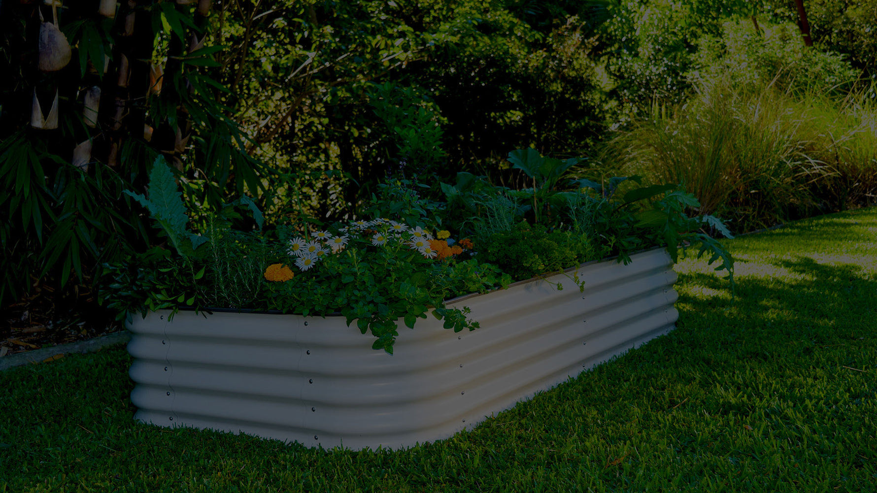 Raised Garden Beds & Corten Steel Planter Boxes NZ Birdies Garden Pr